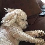 Steve Teske - @teske.steve - Instagram