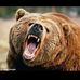 Steve Testerman - Facebook