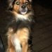 Steve Testerman - Facebook