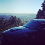 Steven Testerman - @steven.testerman.9 - Instagram