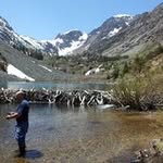 Steve - @steveteterhune - Instagram