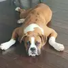 steveteter3 - @steve.teter - TikTok