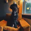Steve Theodore W.’s acc🐕‍🦺🦴 - @steve.theodore_da.dog - TikTok