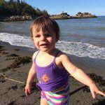 Steve Thibault - @stthibault - Instagram