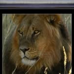Steve Tidwell - @steve.tidwell.92560 - Instagram