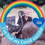 Steve Tingle - @diver_steve2000 - Instagram
