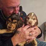 Steve Tinsley - @steve.tinsley.773 - Instagram