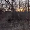 Steve Tipton - @steve.tipton37 - TikTok