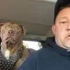 stevetobey - @stevetobey - TikTok