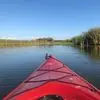 Steve Tolle - @steve.tolle - TikTok