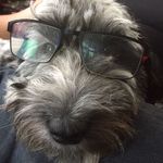 Steve Tomlinson - @tomlinson986 - Instagram