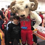Steve Tomlinson - @stevedornz - Instagram