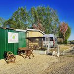Steve Toms - @hawthornefarm_wisbech - Instagram