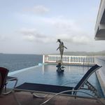 Steve Traylor - @stevietraylor - Instagram