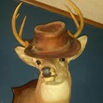 Steven Triplett - @alonastevetyler05 - Instagram