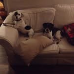 Stephen Truelove - @stevetruelove67 - Instagram