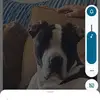 Steve Truempler - @steve.truempler - TikTok