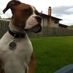 Steve Truesdale - @truesdalesteve - Instagram
