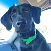 Steve - @truesteve - TikTok