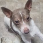 Steve Trueblood - @truebloodsteve - Instagram
