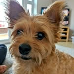 Steve Tunstall - @steve_tunstall - Instagram