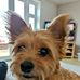 Steve Tunstall - Facebook
