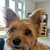 stevetunstall440 - @stevetunstall440 - TikTok