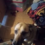 Steve Turco - Facebook