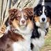Steve Turco - Facebook