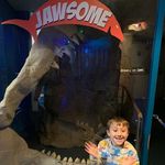 Steve Uhlig - @uhligsteve - Instagram