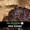 steveuhlworm - @14ulle88 - TikTok