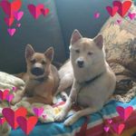Steve Butterfield - @steve.butterfield1 - Instagram