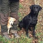 Steve Grütter - @stevegrutter - Instagram