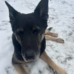 Steve Utter - @steve.utter.75 - Instagram