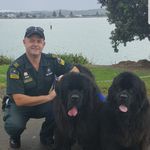 Steve Vallance - @tiggersfurball - Instagram