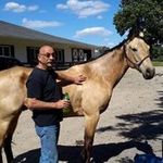 Steve Varney - @steve.varney - Instagram