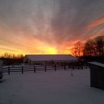 Steve Varney - @stevevarney - Instagram