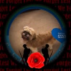 Steve Varney - Facebook
