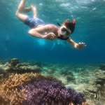 Steven Veldman - @steven_veldman - Instagram