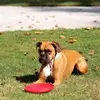 stevevinson897 - @stevevinson897 - TikTok