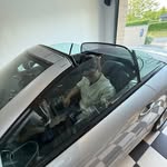 Steve - @stevevo_05 - Instagram