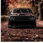 Steve Stivo - @steve.vosteve54 - Instagram