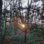 Steve Volpe - @seniorvolpe - Instagram