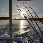 Steve Wachter - @swamprats2269 - Instagram