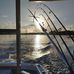 Steve Wachter - Facebook