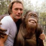 Steve Waddle - @loving_every_minute42 - Instagram