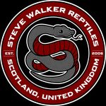 Steve Walker - @steve_walker_reptiles - Instagram