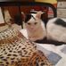 Steve Walton - Facebook
