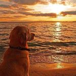 Steve Walton - @steve.walton.3139 - Instagram