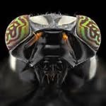 Steve Wanninger - @stevewanninger - Instagram